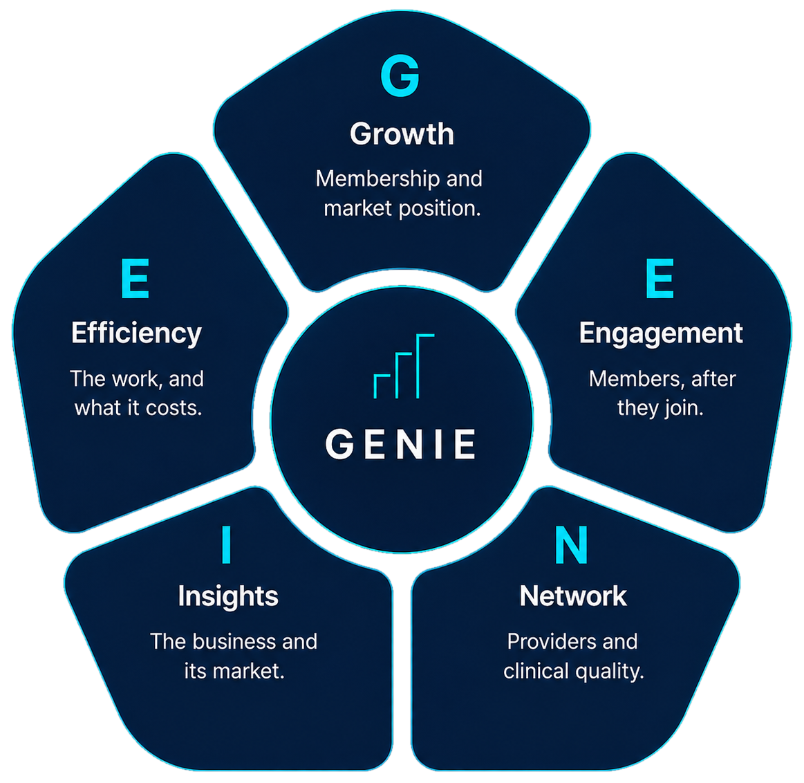The GENIE map: five operating domains arranged around a central core. Growth, Engagement, Network, Insights, Efficiency.